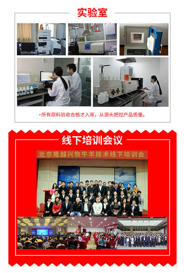 4%生长羊_07.jpg