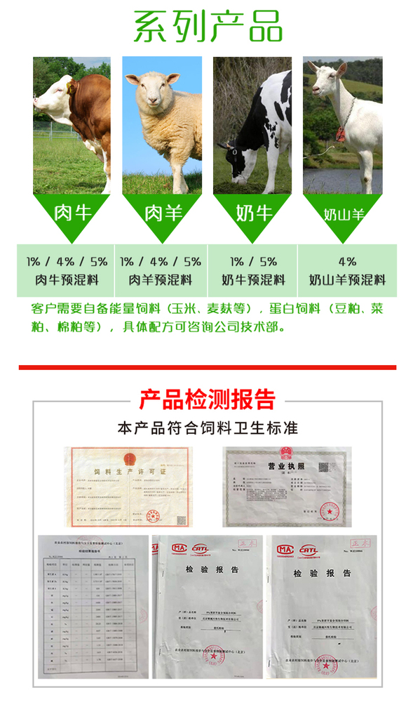 4%生长羊_05.jpg