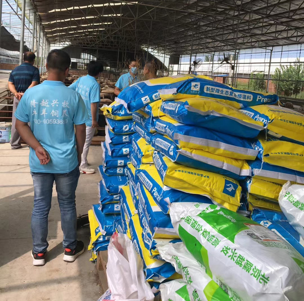 新疆羊饲料新疆育肥羊饲料新疆羊长的快饲料